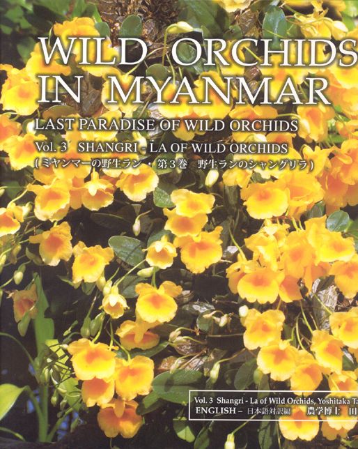WILD ORNOPIOSI IN MYANMAR VOL 3