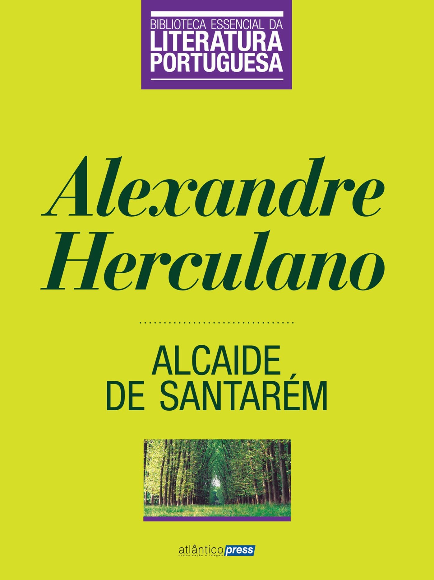 Alcaide de Santarém
