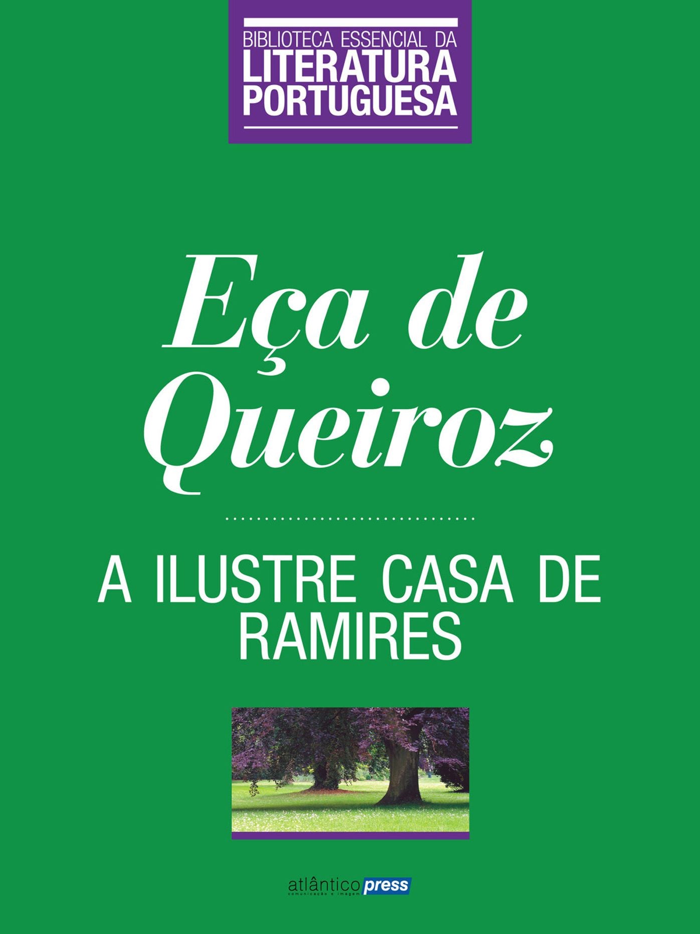 A Ilustre Casa de Ramires