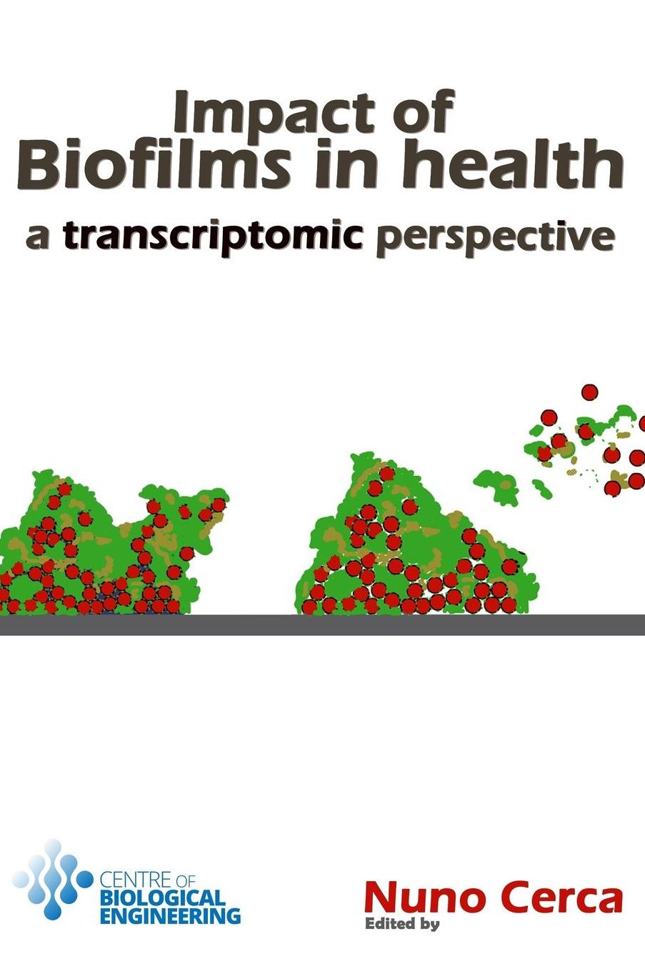 Impact of biofilms in health: a transcriptomic perspective