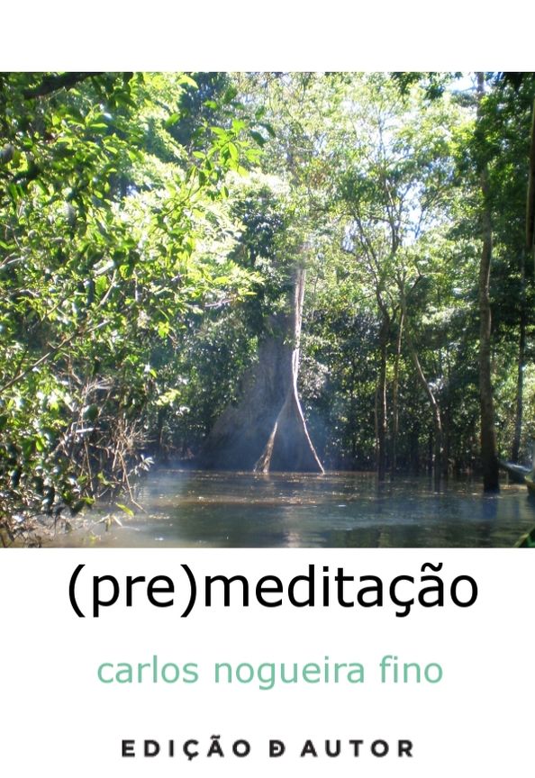 (pre)meditação