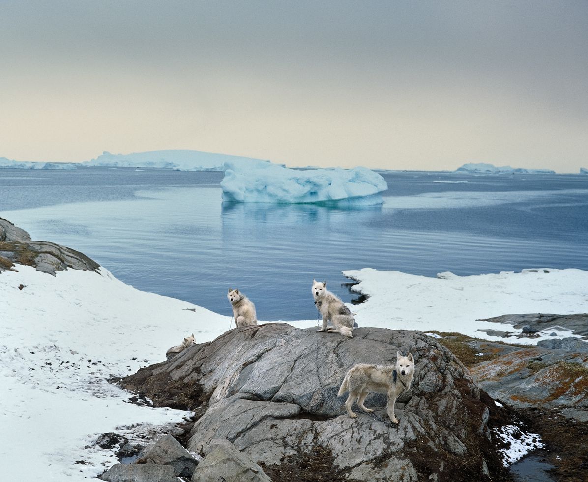 Ragnar Axelsson: Last Days of the Arctic
