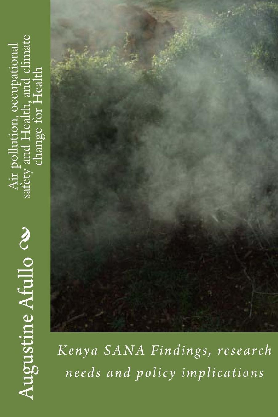 Air pollution, occupational safety and Health, and climate change for Health: Kenya SANA Findings, research needs and policy implications