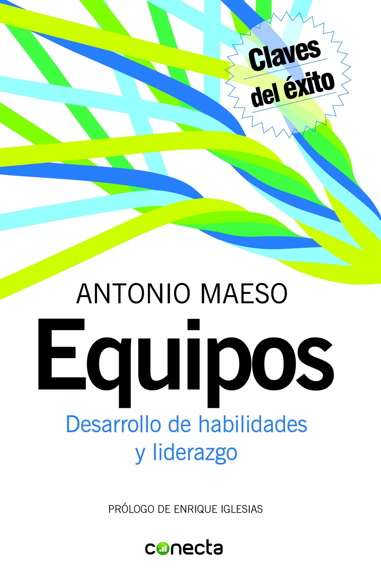 Equipos: Desarrollo de habilidades y liderazgo