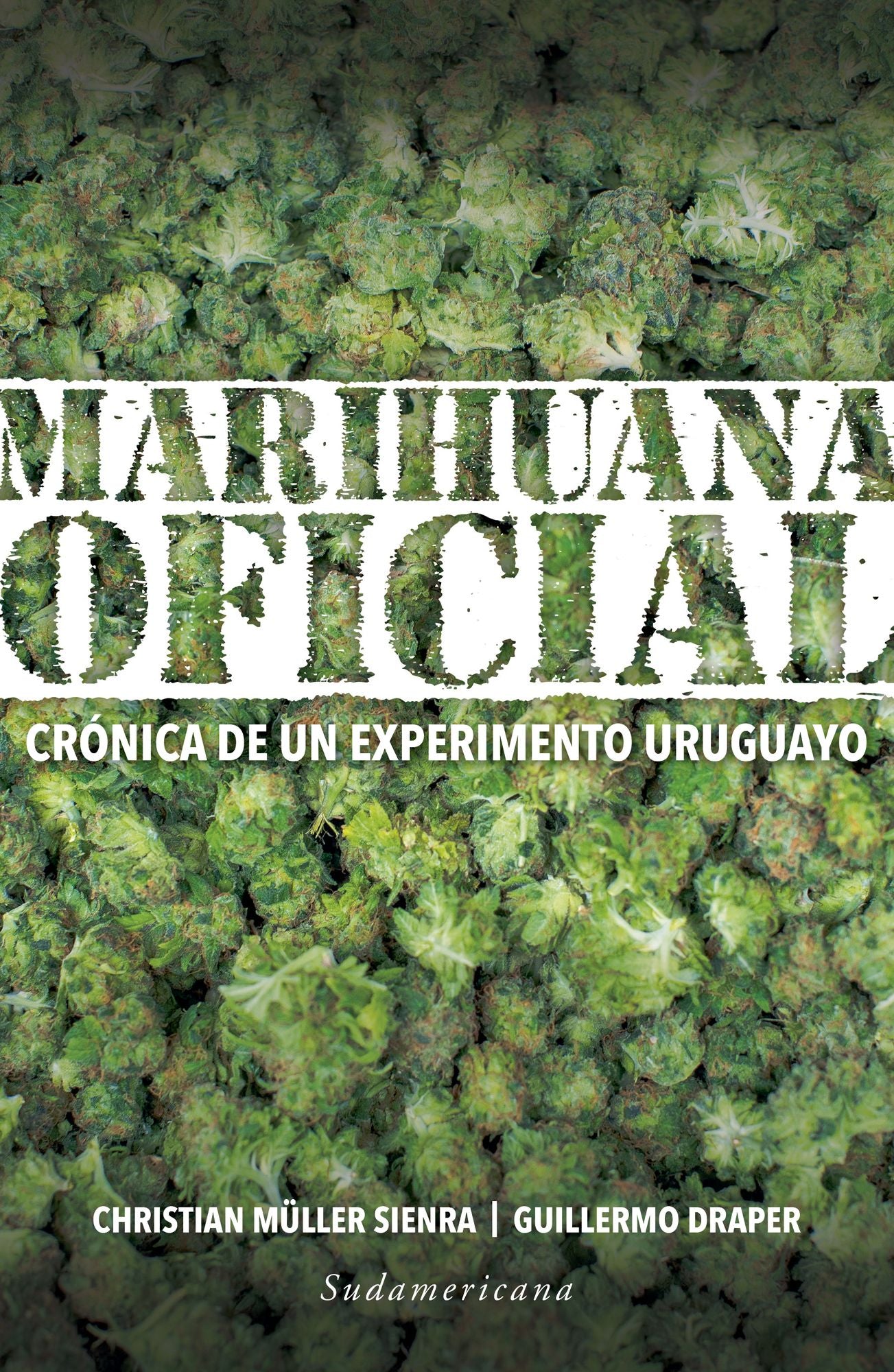 Marihuana oficial: Crónica de un experimento uruguayo