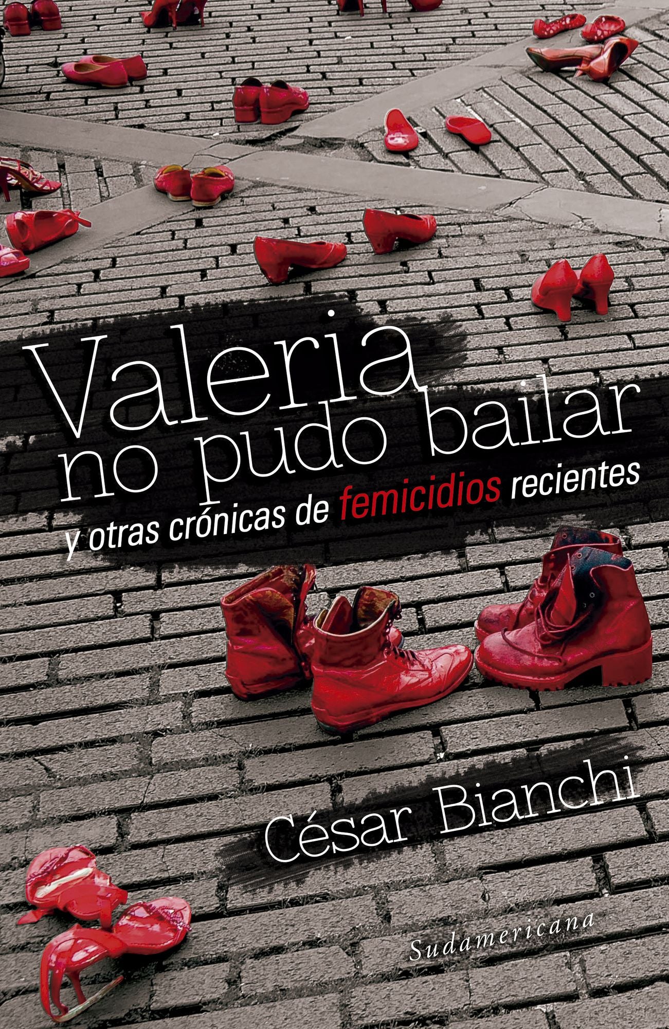 Valeria no pudo bailar: y otras crónicas de femicidios recientes