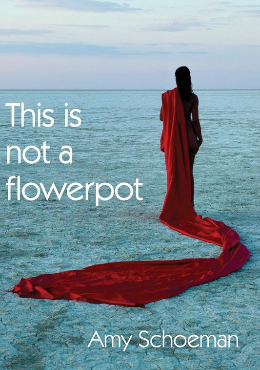 This is not a Flowerpot