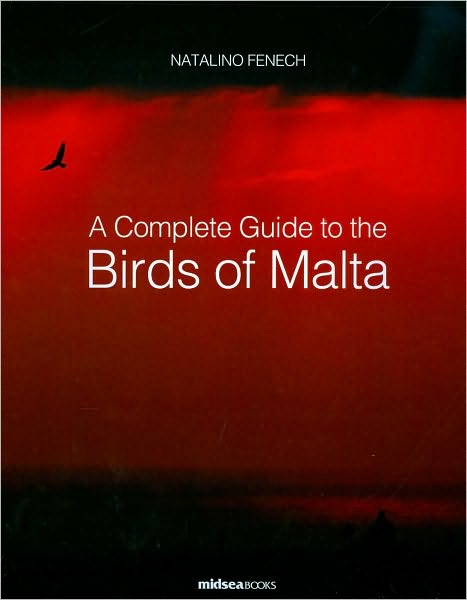 A Complete Guide to the Birds of Malta