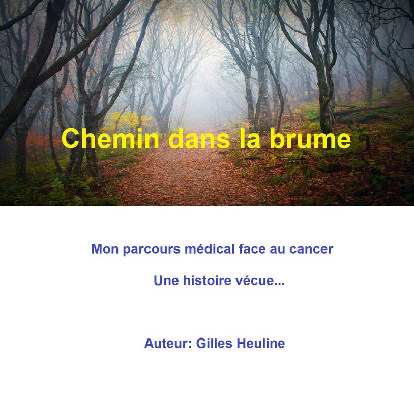 CHEMIN DANS LA BRUME