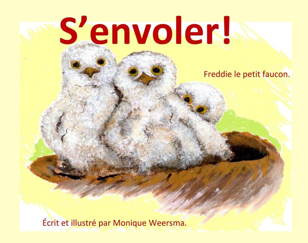 S'ENVOLER