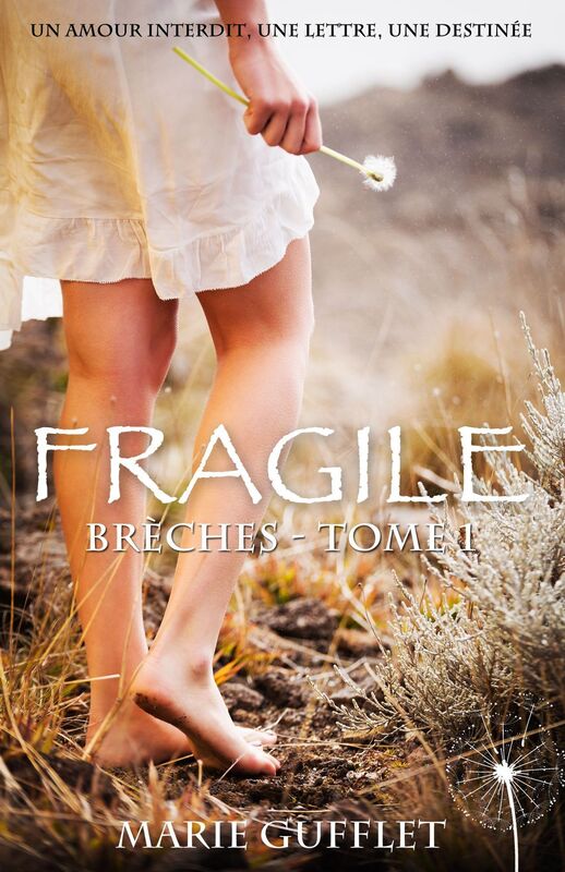 FRAGILE, SÉRIE BRÈCHES