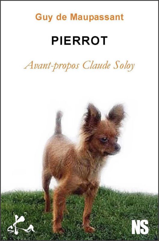 Pierrot: Nouvelle noire