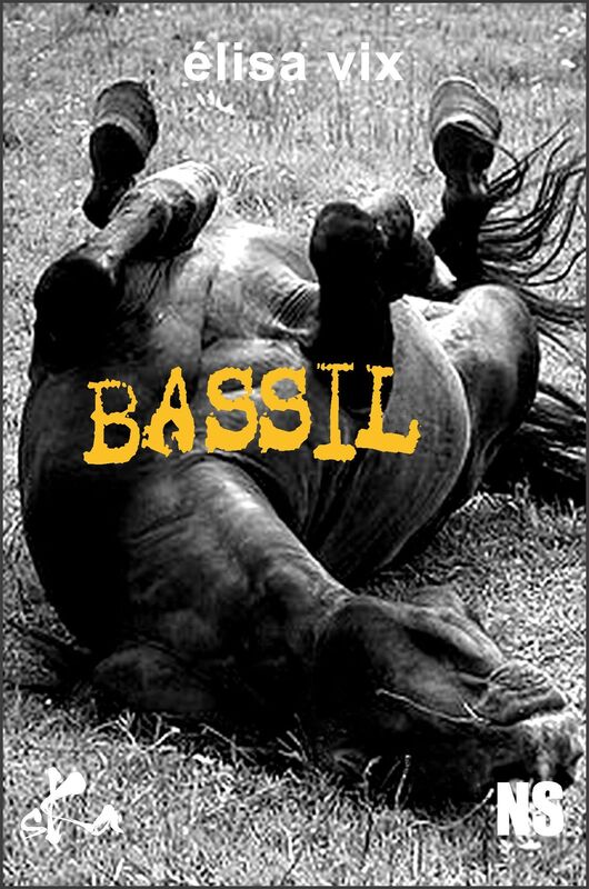 Bassil: Nouvelle noire