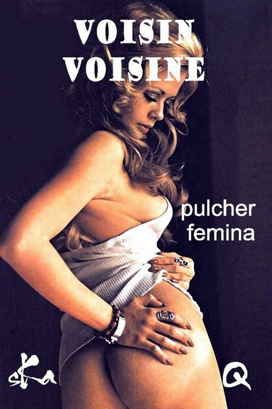 Voisin Voisine: Une nouvelle érotique aussi sensuelle qu'envoûtante