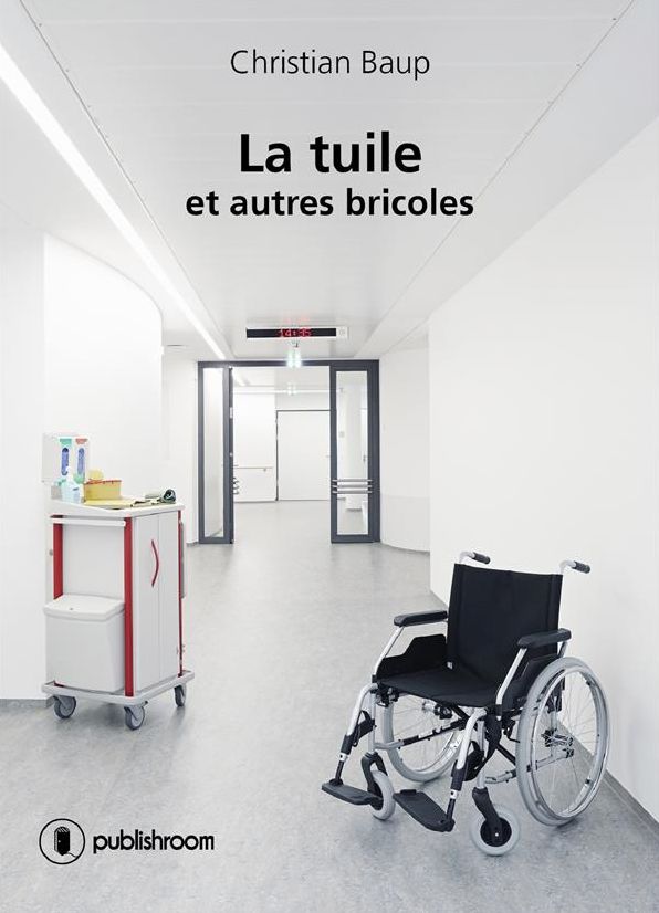 La tuile... et autres bricoles: Roman autobiographique