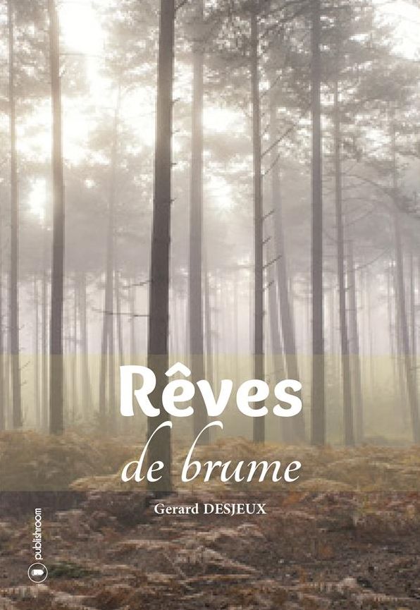 Rêves de brume: Un roman passionnant
