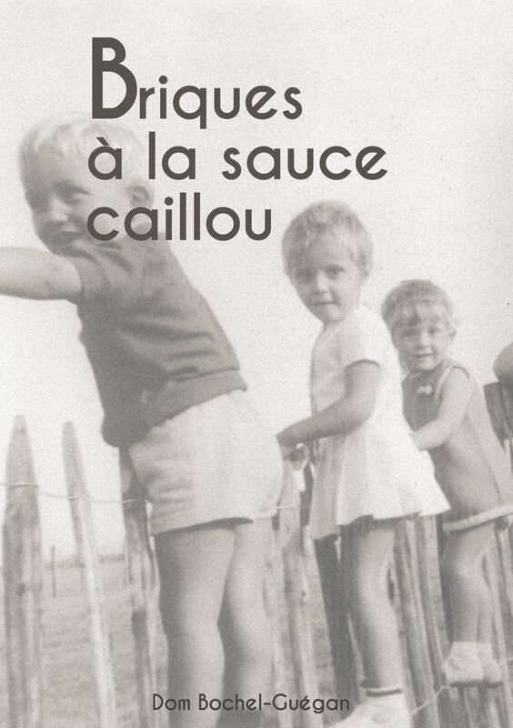 Briques à la sauce caillou
