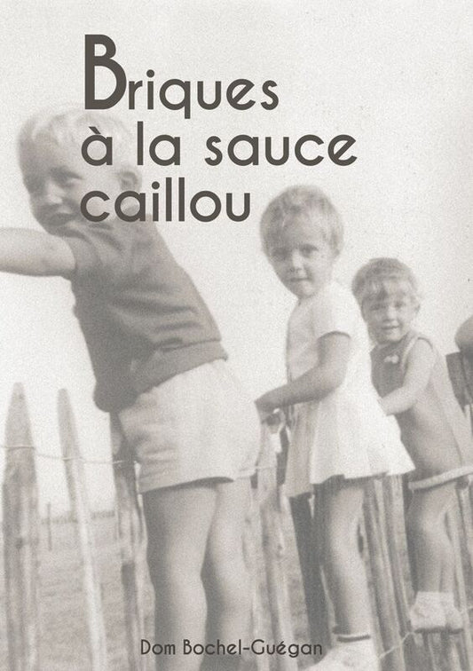Briques à la sauce caillou