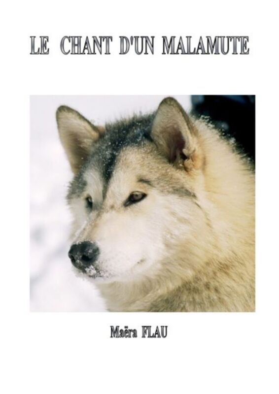 Le chant d'un Malamute