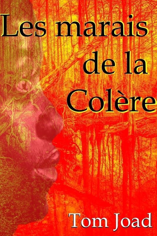 Les marais de la colère