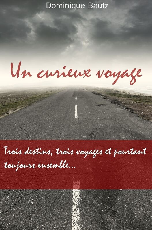 Un curieux voyage
