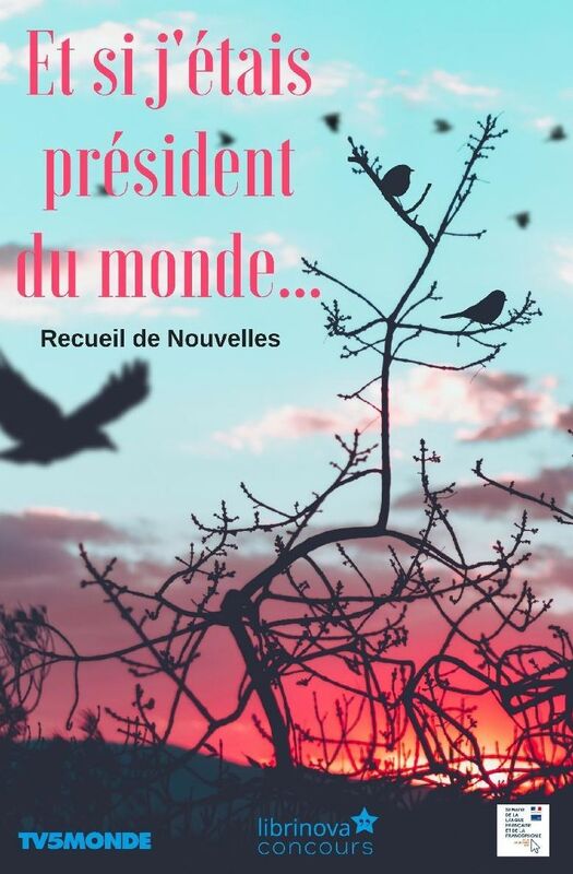 Et si j'étais président du monde ...