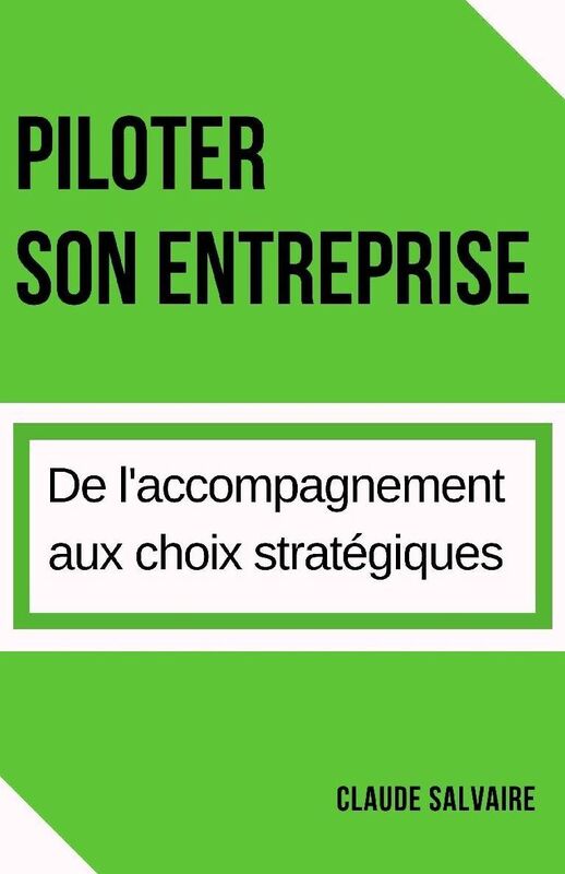 Piloter son entreprise: De l'accompagnement aux choix strategiques