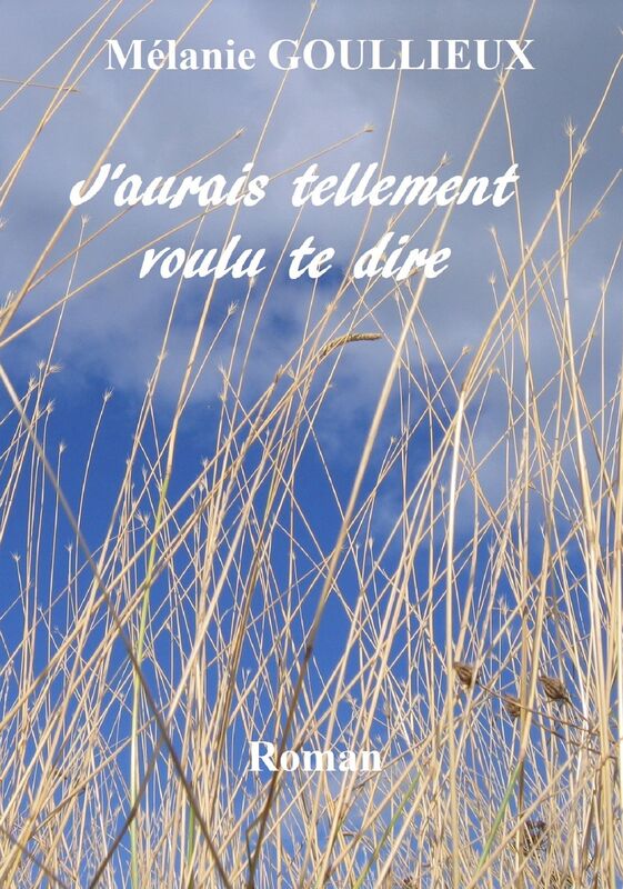 J'aurais tellement voulu te dire