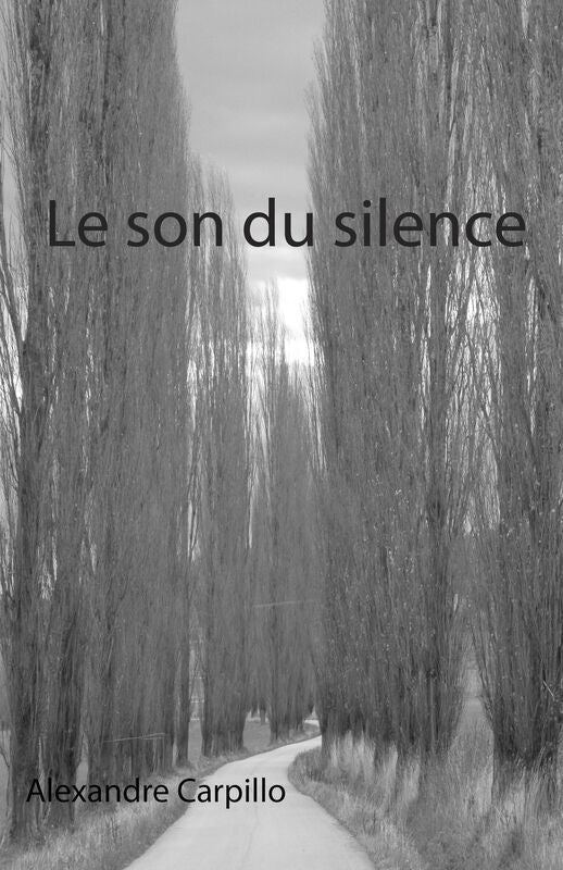 Le son du silence