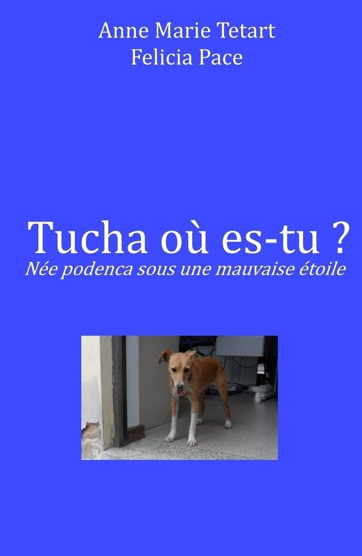 Tucha où es-tu ?
