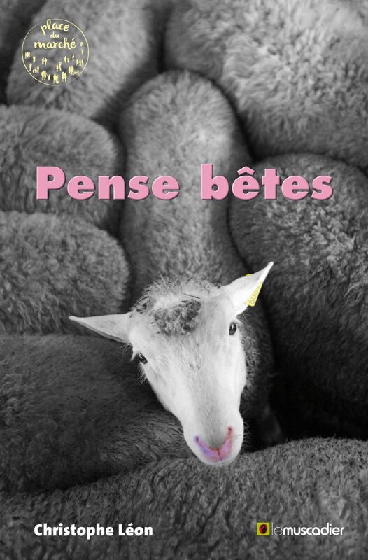 Pense bêtes: Un recueil de nouvelles drôles et grinçantes