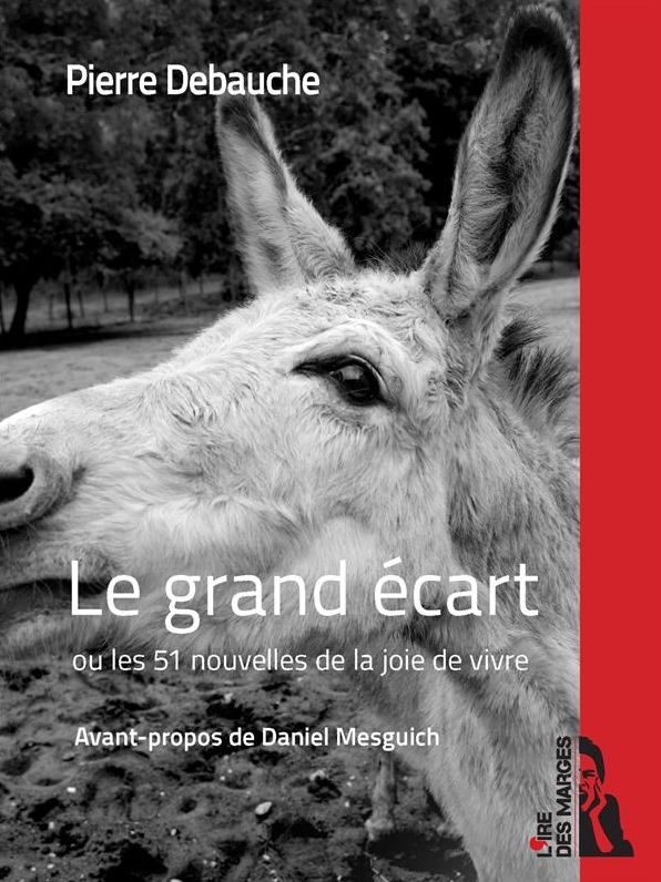 Le grand écart: ou les 51 nouvelles de la joie de vivre