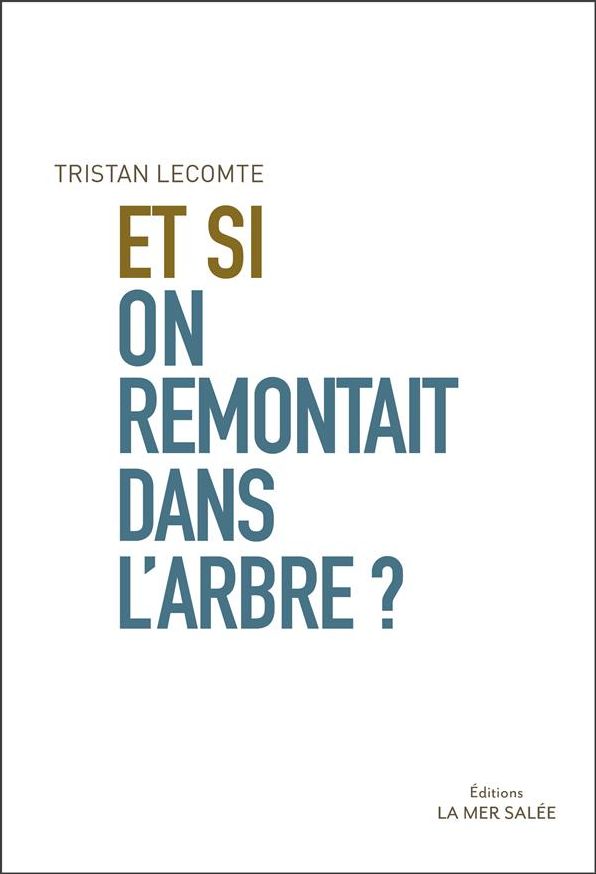 Et si on remontait dans l'arbre ?: Vision et expérience d'un entrepreneur social