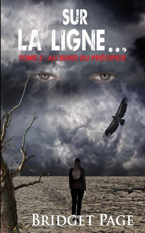Sur la ligne...: tome 2 : au bord du precipice