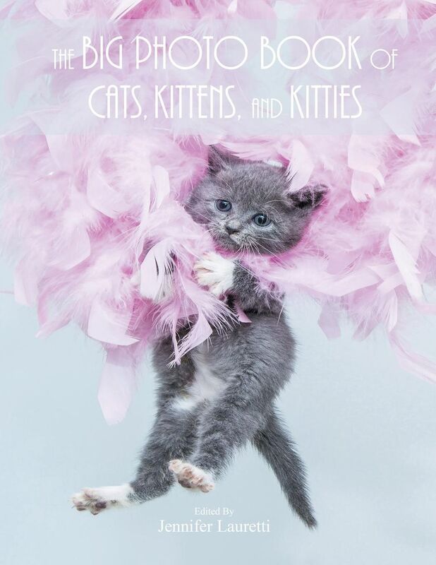 The Big Photo Book of Cats, Kittens, and Kitties: Over 150 Super Size High Quality Photos