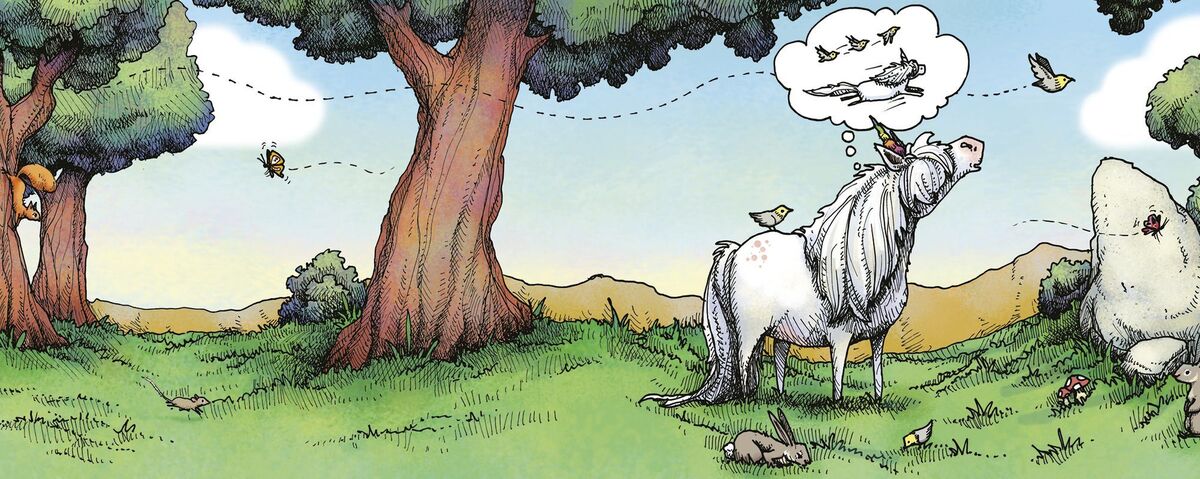 Donut/Rosquilla (Spanish-English Bilingual Edition): The Unicorn Who Wants to Fly/ El unicornio que queria volar