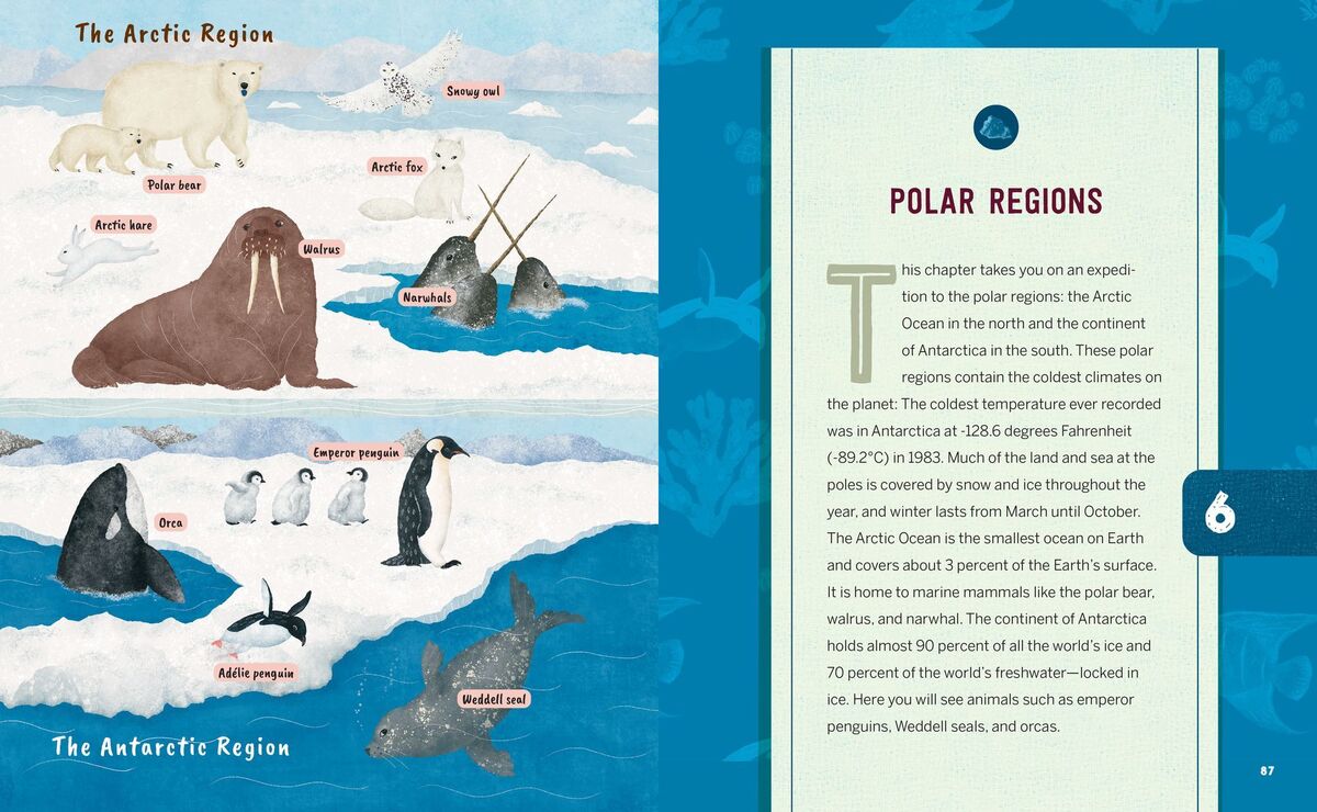 Ocean Activities for Kids: 20 Hands-On Projects to Explore the Sea