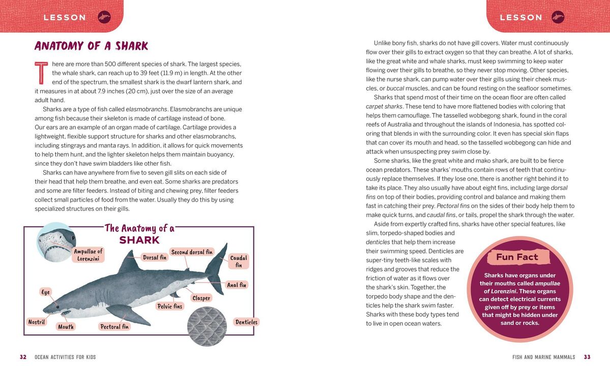 Ocean Activities for Kids: 20 Hands-On Projects to Explore the Sea