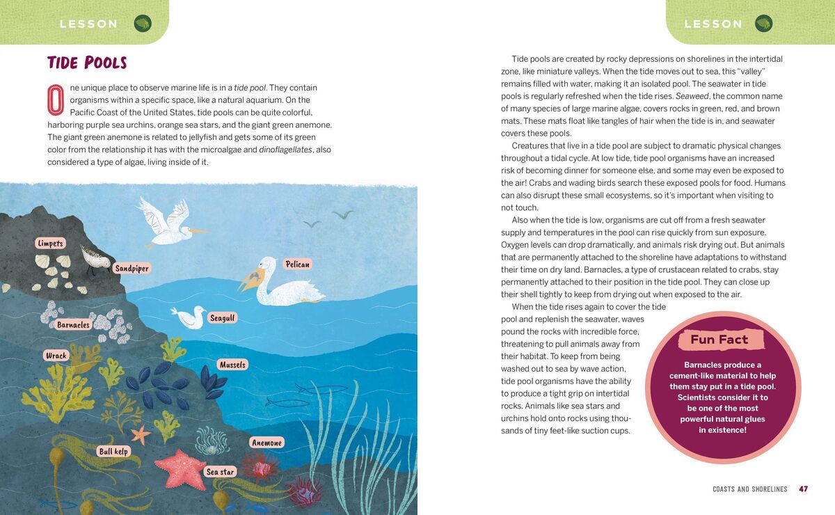 Ocean Activities for Kids: 20 Hands-On Projects to Explore the Sea