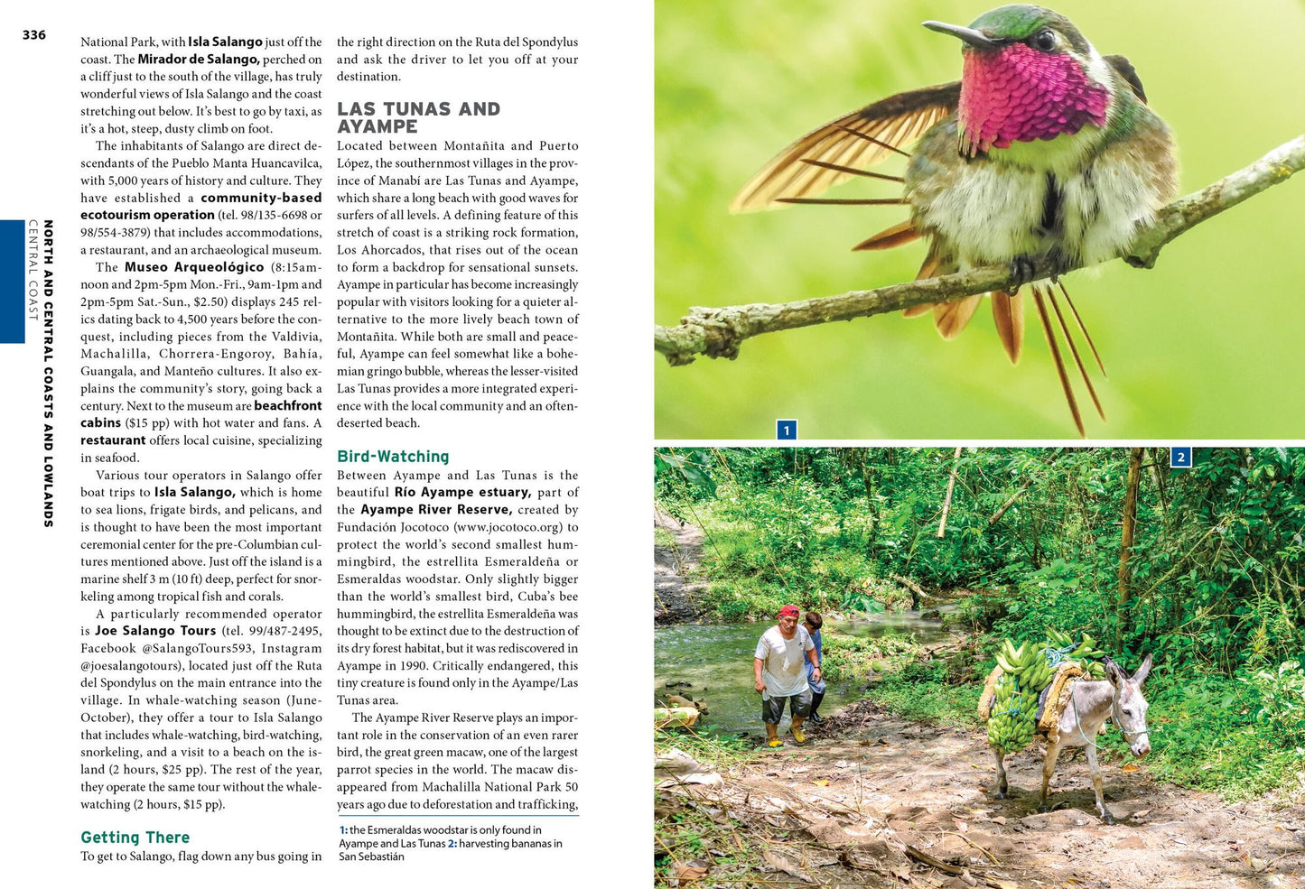 Moon Ecuador & the Galápagos Islands: Outdoor Adventure, Indigenous Culture, Sustainable Travel