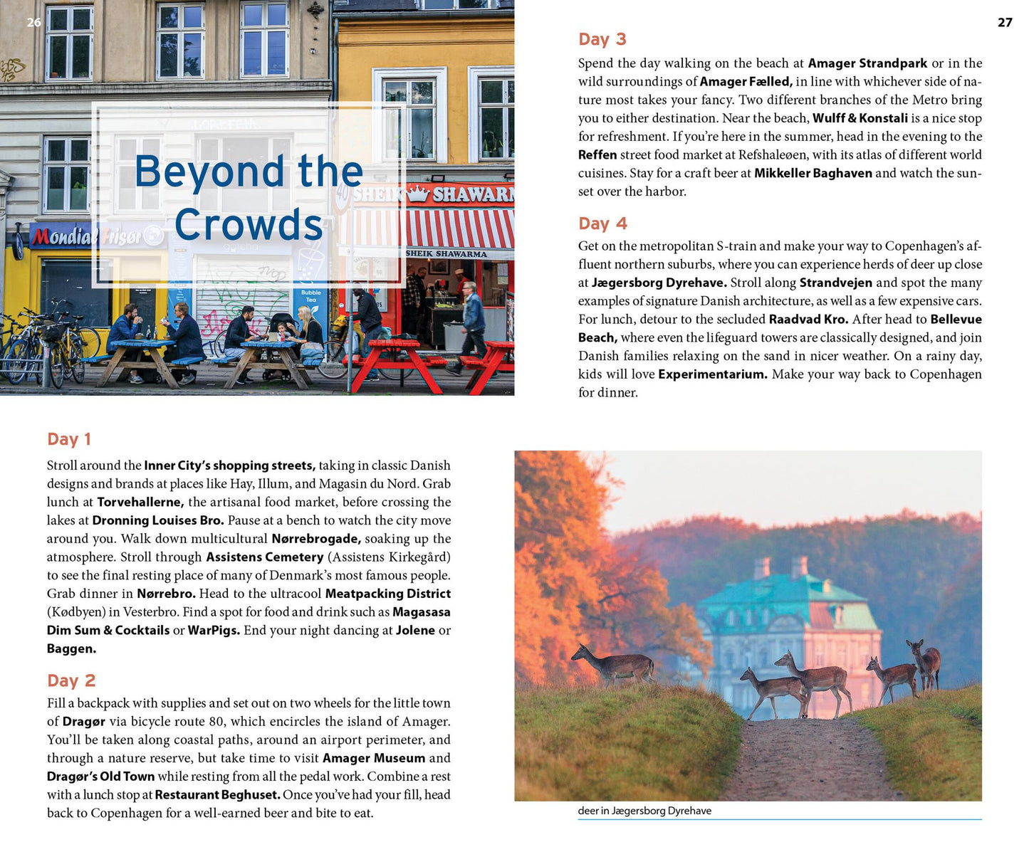 Moon Copenhagen & Beyond: Day Trips, Local Spots, Tips to Avoid Crowds