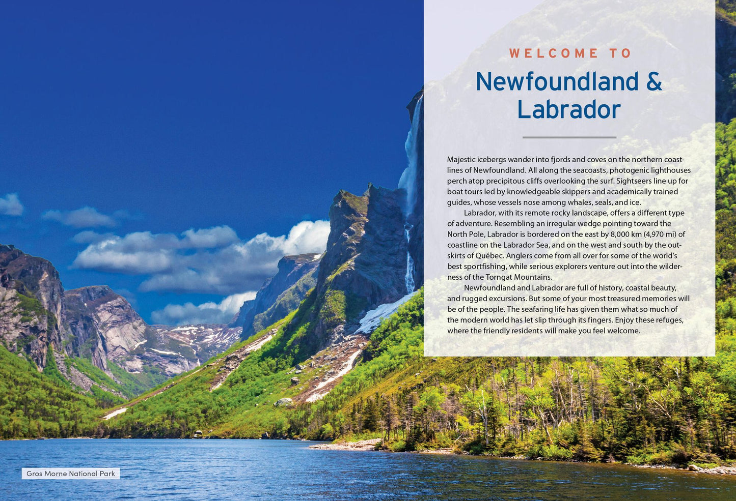 Moon Newfoundland & Labrador: Wildlife-Watching, Iceberg Excursions, Viking Settlements
