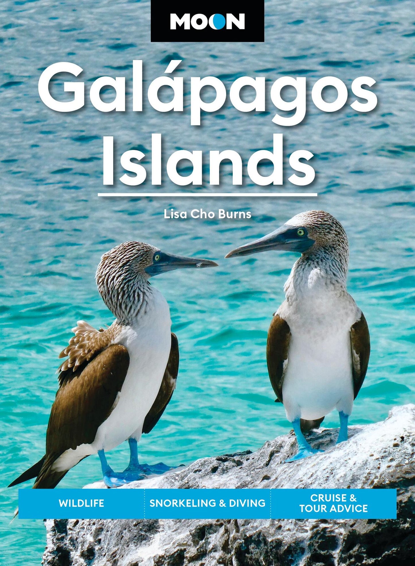 Moon Galápagos Islands: Wildlife, Snorkeling & Diving, Cruise & Tour Advice