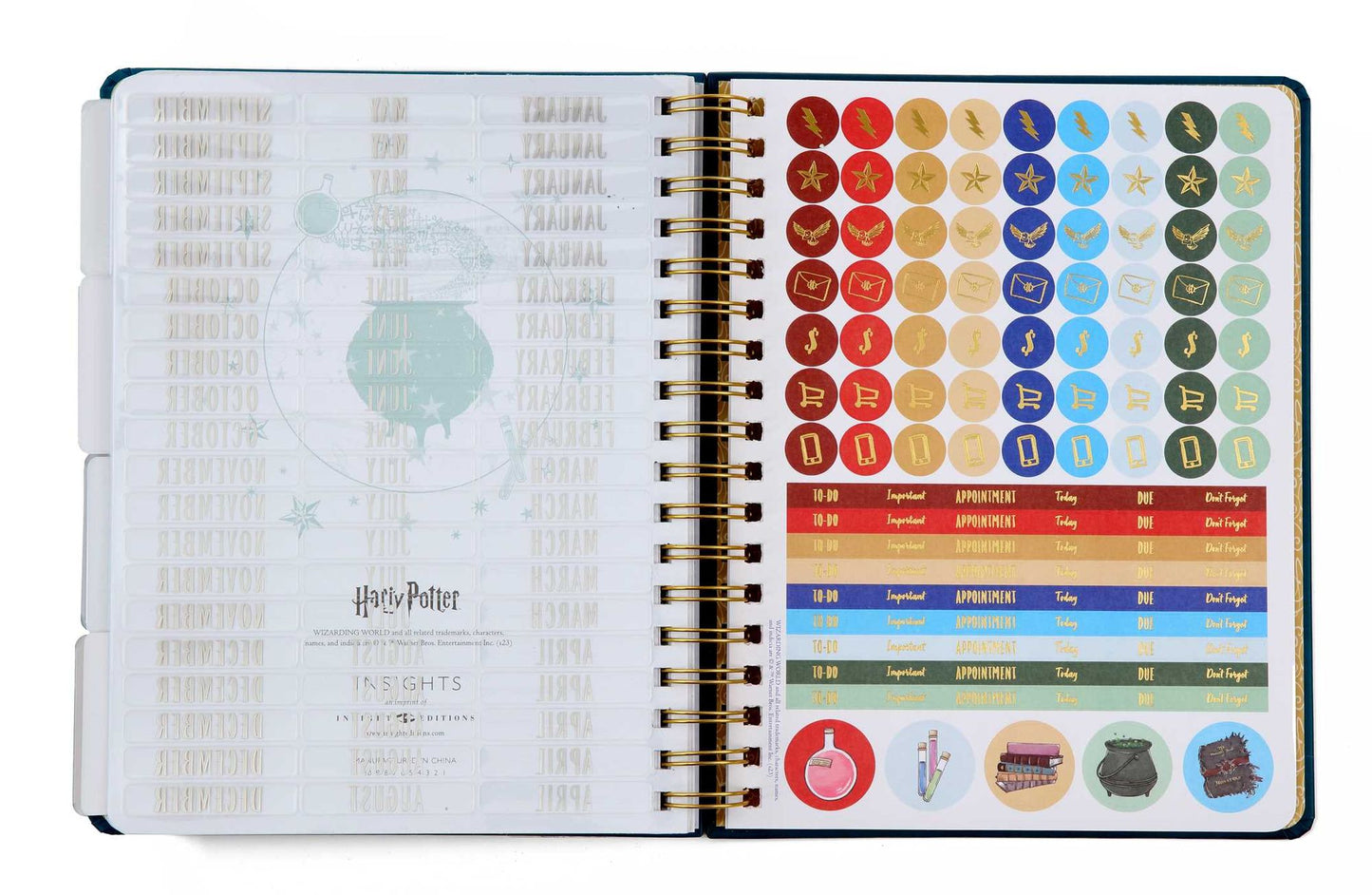 Harry Potter: Spells and Potions 12-Month Undated Planner
