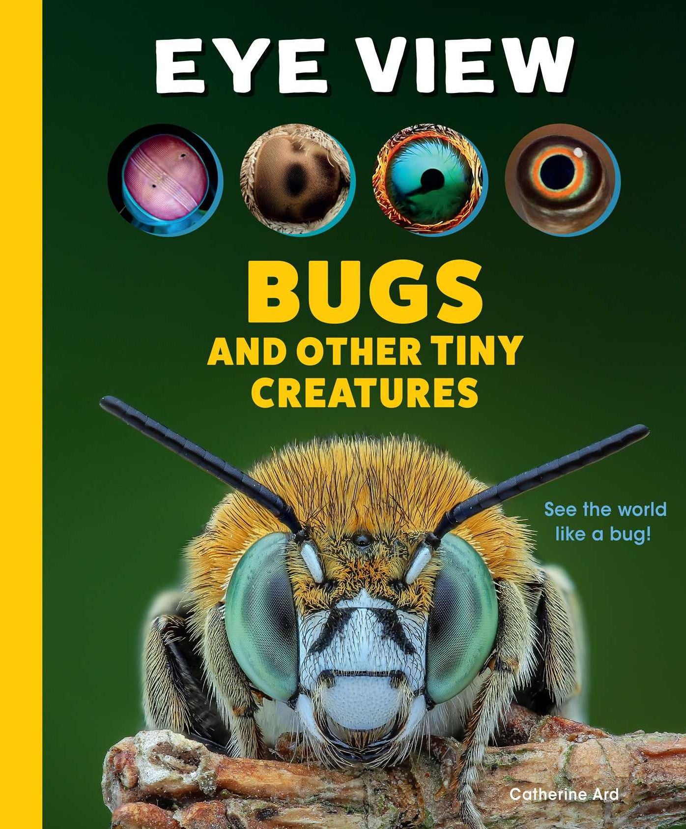 Eye View - Bugs