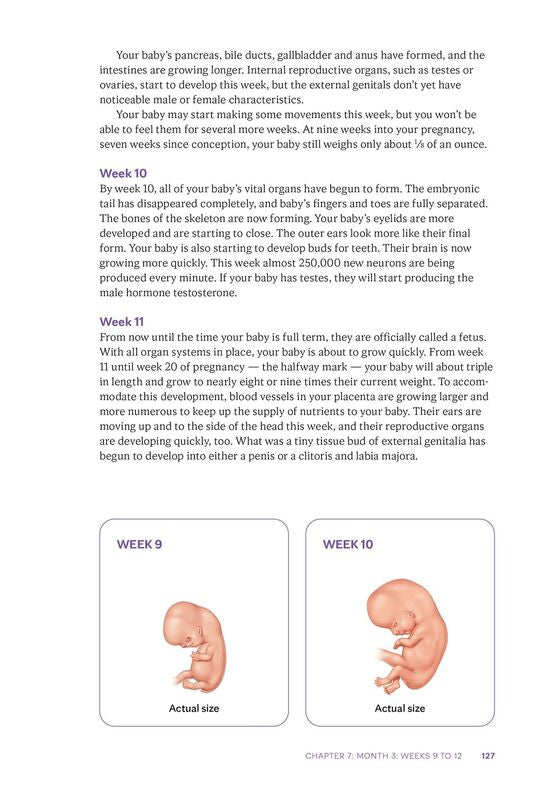 Mayo Clinic Guide to a Healthy Pregnancy, 3rd Edition: Evidence-Based Insight and Real-Life Tips for Expecting Parents, from the World's Leading Medical Experts