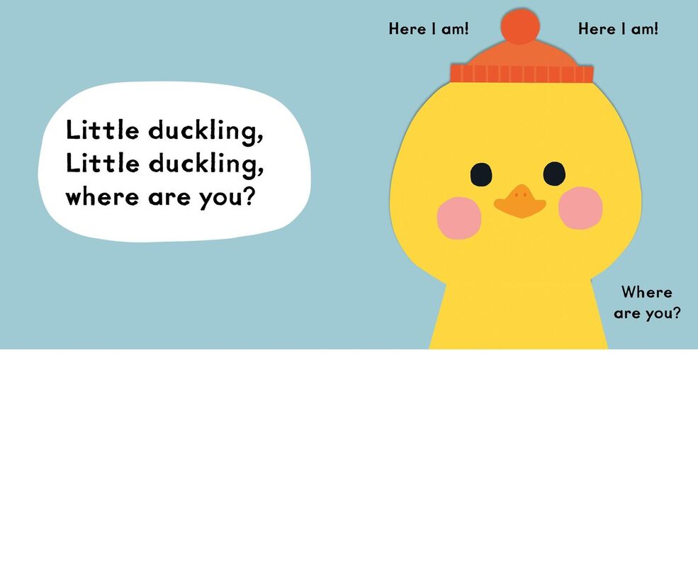 Baby Faces: Little Bunny, Where Are You?