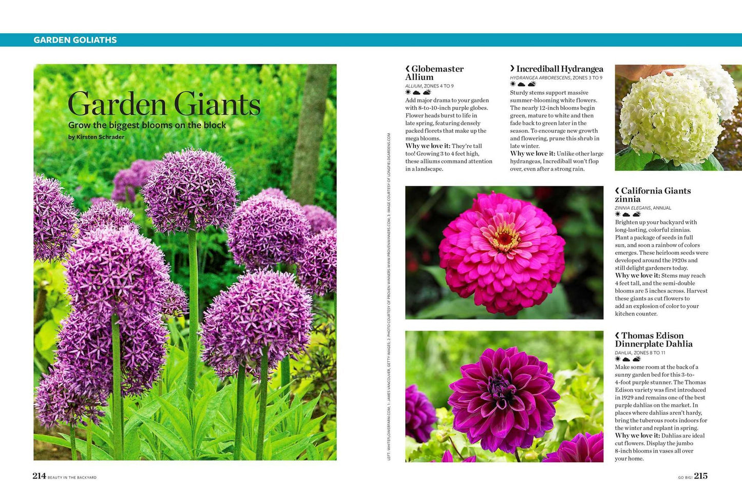 Birds & Blooms Beauty in the Backyard: 300+ TIPS, HINTS AND GARDEN GREATS TO CREATE AN OUTDOOR SPACE YOU CAN APPRECIATE YEAR-ROUND