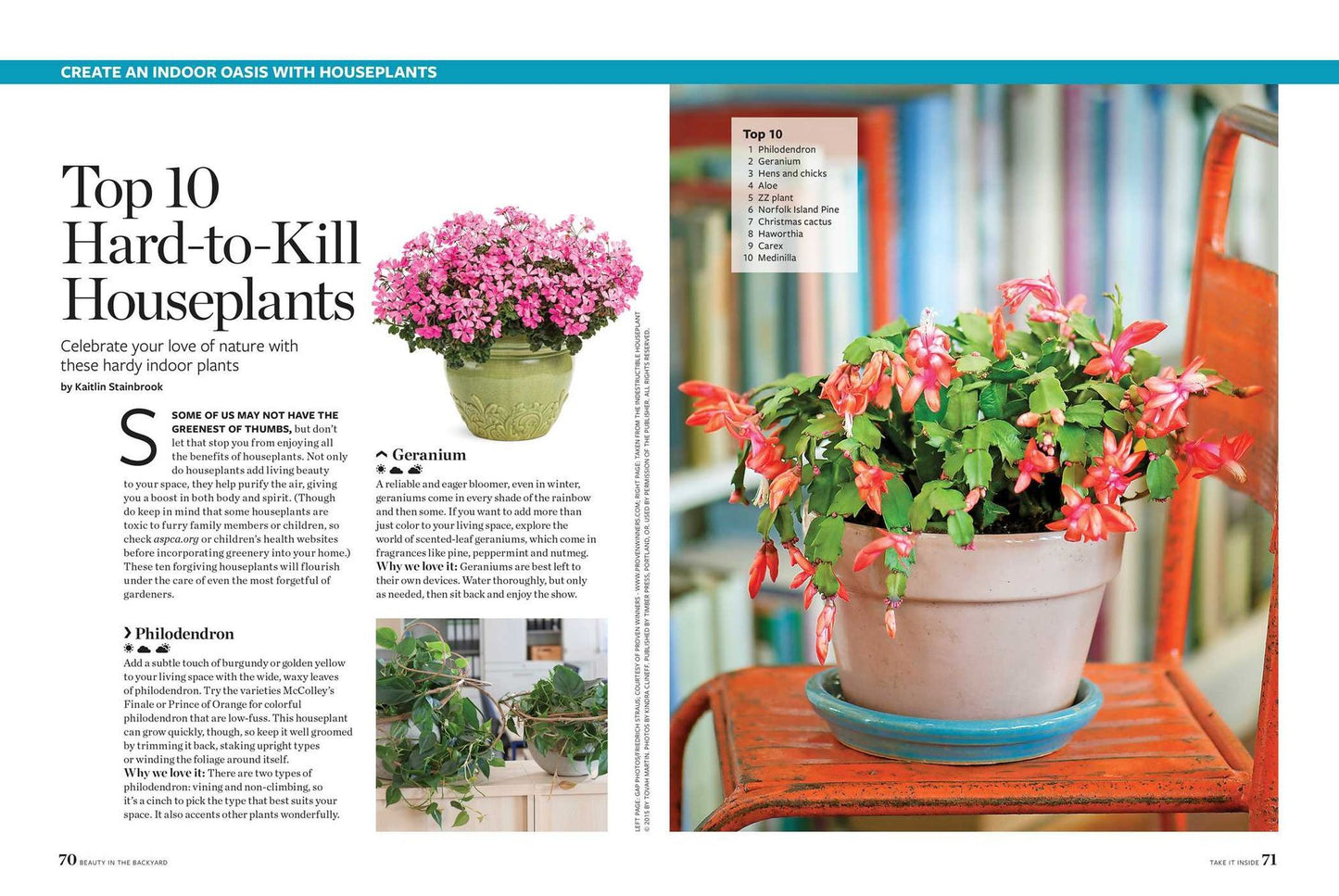 Birds & Blooms Beauty in the Backyard: 300+ TIPS, HINTS AND GARDEN GREATS TO CREATE AN OUTDOOR SPACE YOU CAN APPRECIATE YEAR-ROUND