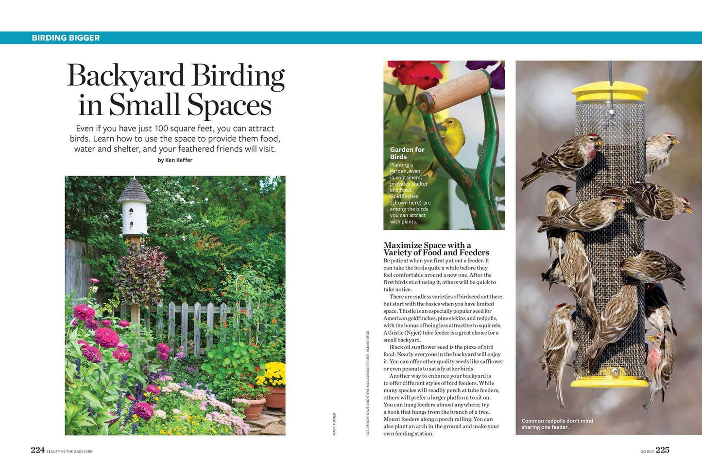 Birds & Blooms Beauty in the Backyard: 300+ TIPS, HINTS AND GARDEN GREATS TO CREATE AN OUTDOOR SPACE YOU CAN APPRECIATE YEAR-ROUND
